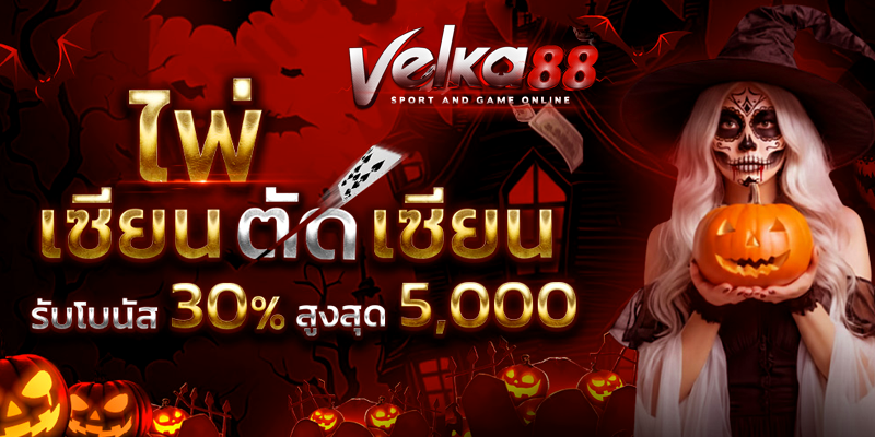VELKA88-บาคาร่า